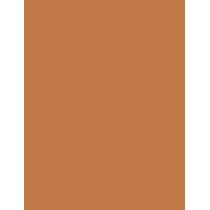 Estée Lauder Bronze Goddess   21G 03 Medium Deep   Für Frauen (Bronzer)