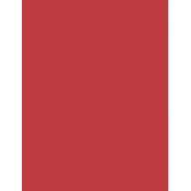 L'Oréal Paris Glow Paradise   4,8G 351 Watermelon Dream Sheer   Für Frauen (Lipstick)