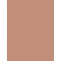 Clinique True Bronze   9,6G 02 Sunkissed   Für Frauen (Bronzer)