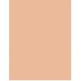 Missha M Perfect Cover BB Cream EX  SPF42   No.25 Warm Beige 20ml(BB Cream) für Frauen