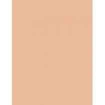 Missha M Perfect Cover BB Cream EX  SPF42   No.25 Warm Beige 20ml(BB Cream) für Frauen
