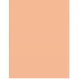 Artdeco Fluid Camouflage Foundation      Warm 24 Golden Beige 20ml(Makeup) für Frauen