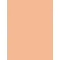 Artdeco Fluid Camouflage Foundation      Warm 24 Golden Beige 20ml(Makeup) für Frauen
