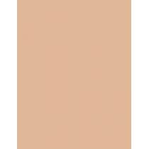 Mac Studio Fix Every-Wear All-Over Face Pen 12Ml  Für Frauen  (Makeup)  NC25