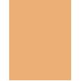 Erborian Super Bb Covering Care-Cream 40Ml  Für Frauen  (Bb Cream) SPF20 Doré
