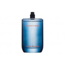 Issey Miyake Fusion D´Issey      100Ml Für Männer Ohne Box(Eau De Toilette) Extreme