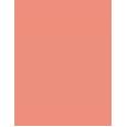 Benefit Shellie Blush 2,5G  Für Frauen  (Blush)  Warm Seashell-Pink