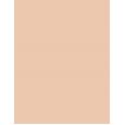 Bourjois Paris Air Mat Spf10  30Ml 01 Rose Ivory   Für Frauen (Makeup)