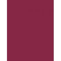 Max Factor Lipfinity Lip Colour  4,2G 055 Sweet   Für Frauen (Lipstick)