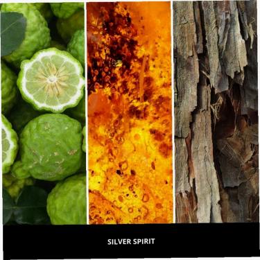 Millefiori Milano Icon 47G Classic  Silver Spirit (Car Air Freshener) Unisex  