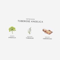 Jo Malone Tuberose Angelica 100Ml    (Eau De Cologne) Für Frauen  