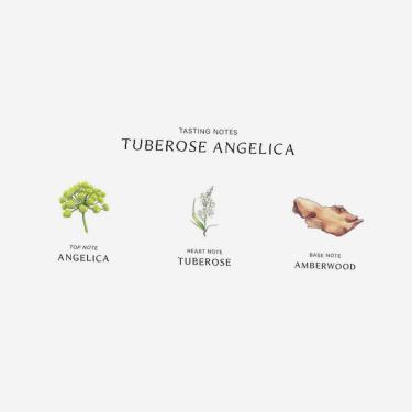 Jo Malone Tuberose Angelica 100Ml    (Eau De Cologne) Für Frauen  