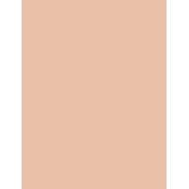 L'Oréal Paris Infaillible More Than Concealer  11Ml 329 Cashew   Für Frauen (Corrector)