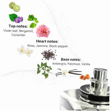 Auraa Desire Tocco Marrone 100Ml    (Perfume Extract) Unisex  