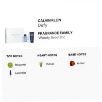 Calvin Klein Defy    Edt 100 ml + Shower Gel 100 ml + Edt 10 ml Shower Gel  100ml(Eau de Toilette) für Männer