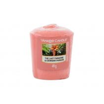 Yankee Candle The Last Paradise   49G    Unisex (Scented Candle)