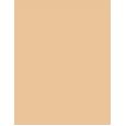 Catrice Nude Drop Tinted Serum Foundation 30Ml  Für Frauen  (Makeup)  020W