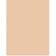 Shiseido Synchro Skin Self-Refreshing Custom Finish Powder Foundation     110 Alabaster 9g(Makeup) für Frauen