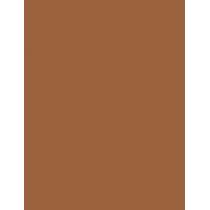 Estée Lauder Bronze Goddess   21G 04 Deep   Für Frauen (Bronzer)