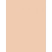 Pupa Professionals Bb Cream + Primer   50Ml 001 Nude  Spf20 Für Frauen (Bb Cream)