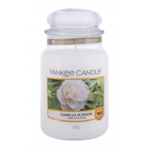 Yankee Candle Camellia Blossom   623G    Unisex (Scented Candle)