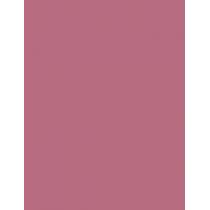 Max Factor Lipfinity Lip Colour  4,2G 020 Angelic   Für Frauen (Lipstick)