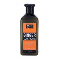 Xpel Ginger   400Ml    Für Frauen (Conditioner)