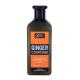 Xpel Ginger   400Ml    Für Frauen (Conditioner)