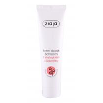 Ziaja Cotton Protective  100Ml    Für Frauen (Hand Cream)