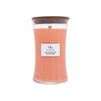 Woodwick Chilli Pepper Gelato   610G    Unisex (Scented Candle)