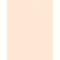 Christian Dior Forever No Transfer 24H Foundation  30Ml 1N Neutral  Spf20 Für Frauen (Makeup)