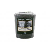 Yankee Candle Evergreen Mist   49G    Unisex (Scented Candle)