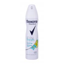 Rexona Motionsense Stay Fresh  150Ml   48H Für Frauen (Antiperspirant)