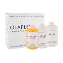 Olaplex Bond Multiplier No. 1 Salon Intro Kit 525Ml (Haar Serum)