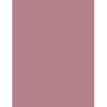 Sisley Phyto Lip Twist  2,5G 1 Nude   Für Frauen (Lip Balm)