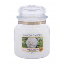 Yankee Candle Camellia Blossom   411G    Unisex (Scented Candle)