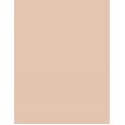 Artdeco Light Luminious Foundation      Neutral 08 Neutral Porcelain 25ml(Makeup) für Frauen
