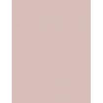 Essie Nail Polish   13,5Ml 06 Ballet Slippers   Für Frauen (Nail Polish)