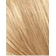 Revlon Colorsilk Beautiful Color  59,1Ml 81 Light Blonde   Für Frauen (Hair Color)