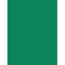 Fanola Color Mask   200Ml Clover Green   Für Frauen (Hair Color)