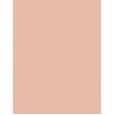 Clinique Beyond Perfecting Powder Foundation + Concealer  14,5G 0.5 Brezee   Für Frauen (Makeup)