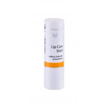 Dr. Hauschka Lip Care   4,9G   Stick Spf3 Für Frauen (Lip Balm)