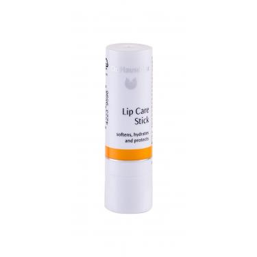 Dr. Hauschka Lip Care   4,9G   Stick Spf3 Für Frauen (Lip Balm)