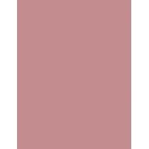 Rimmel London Lasting Provocalips   3,9Ml 220 Come Up Roses  16Hr Für Frauen (Lipstick)