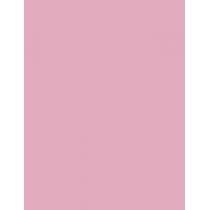 Sally Hansen Miracle Gel   14,7Ml 160 Pinky Promise   Für Frauen (Nail Polish)