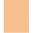 Estée Lauder Double Wear Maximum Cover  30Ml 2W1 Dawn  Spf15 Für Frauen (Makeup)