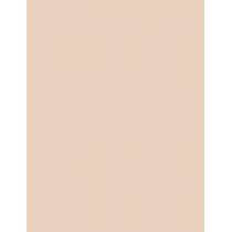 Missha M Perfect Cover BB Cream EX  SPF42   No.21 Light Beige 20ml(BB Cream) für Frauen