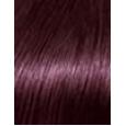 L'Oréal Paris Casting Creme Gloss  48Ml 316 Plum(Haarfarbe)