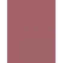 Maybelline Superstay Vinyl Ink Liquid 4,2Ml  Für Frauen  (Lipstick)  110 Awestruck