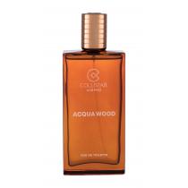 Collistar Acqua Wood   100Ml    Für Mann (Eau De Toilette)